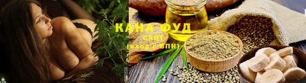 индика Бугульма