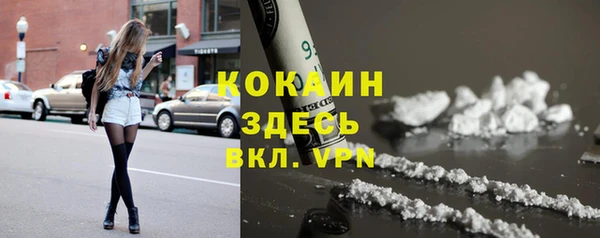 мдпв Богданович