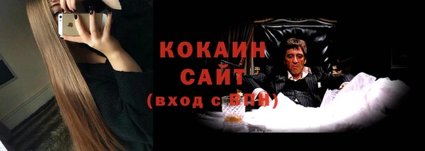 mix Богородицк